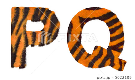 Tiger fell P and Q letters isolated Tiger fell P and Q letters isolated 5022109