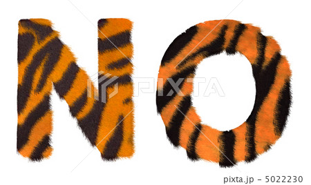 Tiger fell N and O letters isolated Tiger fell N and O letters isolated 5022230