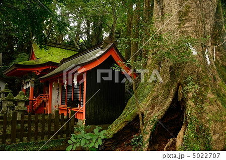 高原熊野神社 高原熊野神社 5022707