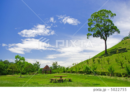 夏の日の公園 夏の日の公園 5022755