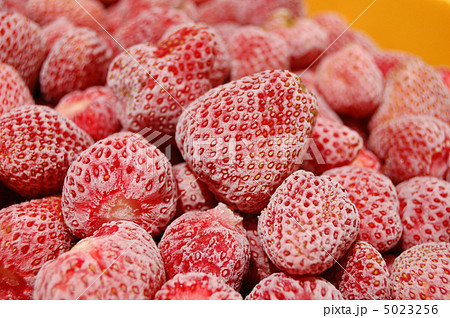 冷凍いちご 冷凍いちご 5023256