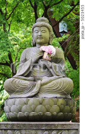仏様と紫陽花 仏様と紫陽花 5023455
