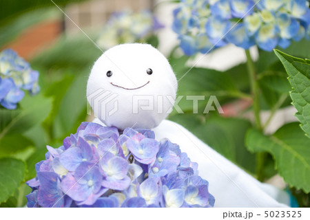 紫陽花とてるてる坊主 5023525