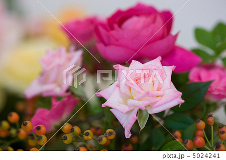 バラのブーケ 5024241