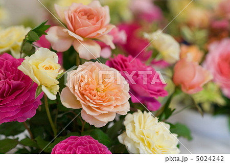 バラのブーケ 5024242