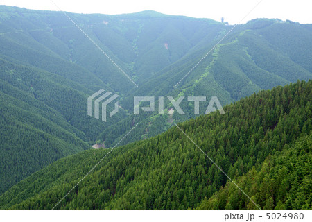 熊野古道小辺地 熊野古道小辺地 5024980