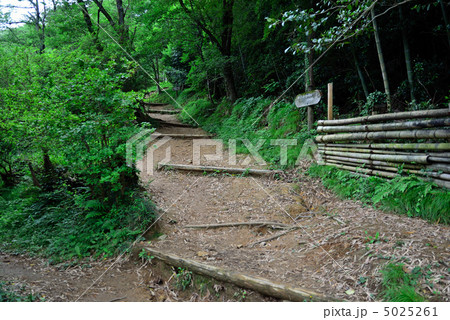 桐生散歩・吾妻公園　哲学の小径 5025261