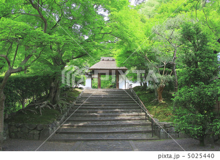 安楽寺初夏 5025440