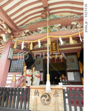 今戸神社 拝殿 今戸神社 拝殿 5025536