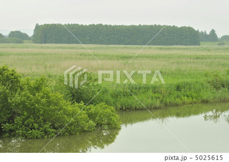 渡良瀬遊水地 5025615