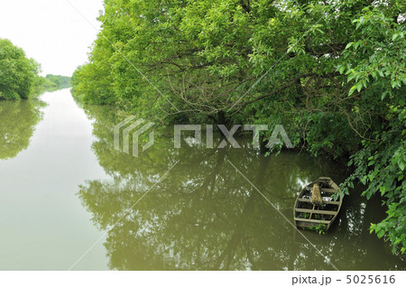 渡良瀬遊水地 5025616