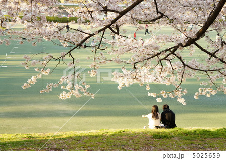 桜の木の下で 5025659