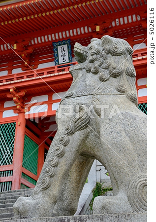 清水寺、仁王門の狛犬 清水寺、仁王門の狛犬 5026116