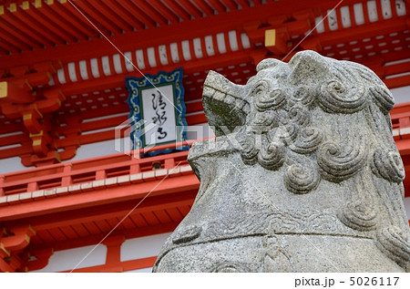 清水寺、仁王門の狛犬 5026117
