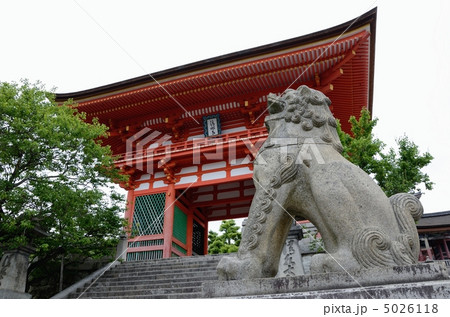 清水寺、仁王門と狛犬 5026118
