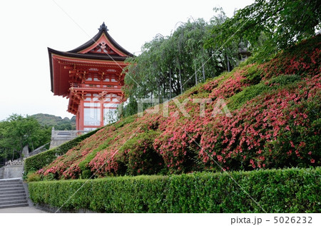 清水寺、楼門とサツキ 清水寺、楼門とサツキ 5026232