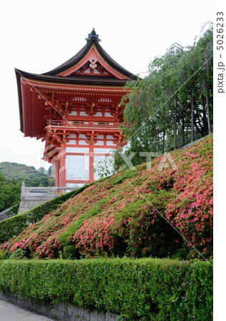 清水寺、楼門とサツキ 5026233