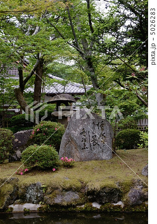 清水寺、新緑と池 清水寺、新緑と池 5026283
