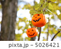 ハロウィン 5026421