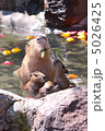 カピバラの湯 5026425