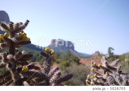 セドナ ホーリークロス教会から 5026705