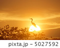 沈む夕日と鳥　3 5027592