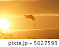 沈む夕日と鳥　4 5027593