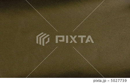 背景　　革 5027739