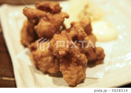 唐揚げ 5028314