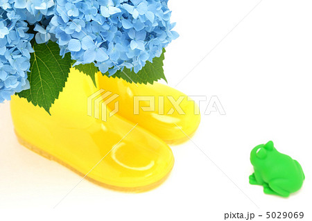 紫陽花と長靴と蛙 5029069