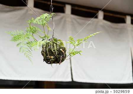 釣忍 釣忍 5029659