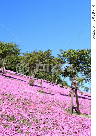 滝上公園 5029744