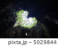 ウィルソン株 5029844