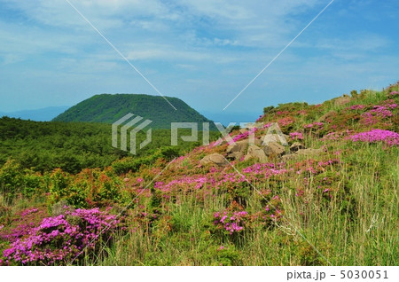 霧島山系「甑岳(こしき岳)」と満開のミヤマキリシマ 霧島山系「甑岳(こしき岳)」と満開のミヤマキリシマ 5030051