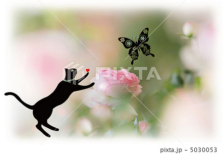 猫と蝶と薔薇と のイラスト素材 猫と蝶と薔薇と のイラスト素材