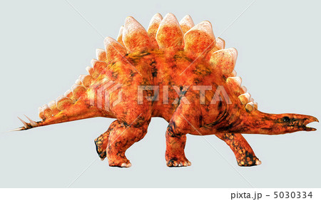 ステゴサウルス 5030334