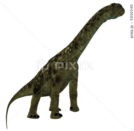 ブロントサウルス☆アパトサウルス 5030340