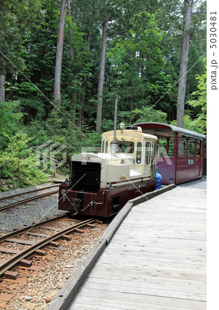 赤沢森林鉄道・タテ 赤沢森林鉄道・タテ 5030481