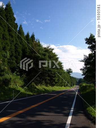 高原の一本道 高原の一本道 5030581