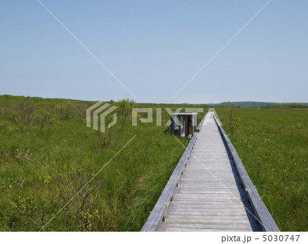 釧路湿原　恩根内散策木道 5030747