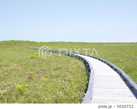 釧路湿原　恩根内散策木道 5030752