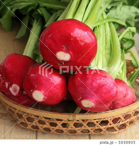 飛騨の赤かぶ 5030935