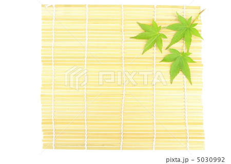 モミジとスダレ 5030992