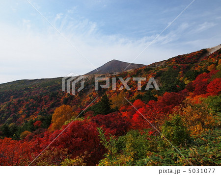 磐梯吾妻スカイラインからの紅葉風景 磐梯吾妻スカイラインからの紅葉風景 5031077