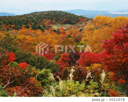 磐梯吾妻スカイラインからの紅葉風景 5031078