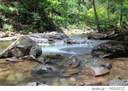 赤沢自然休養林・渓流 赤沢自然休養林・渓流 5033222