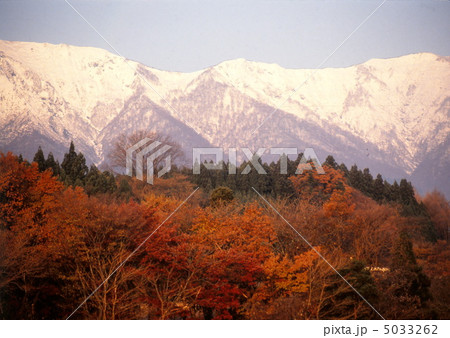 雪の禿岳 5033262