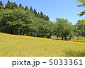 たんぽぽ畑 5033361
