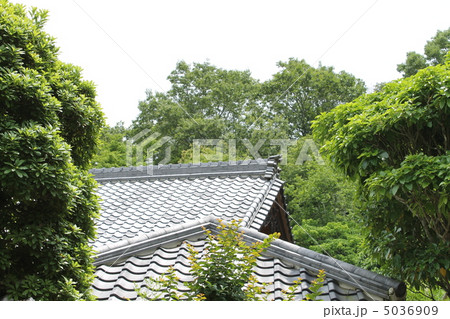 瓦屋根 5036909