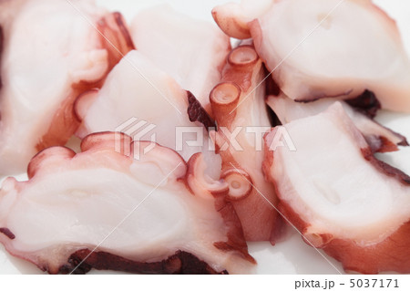 蛸の刺身 5037171